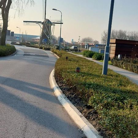 Wijngaardstraat 7A Domburg Βίλα Εξωτερικό φωτογραφία